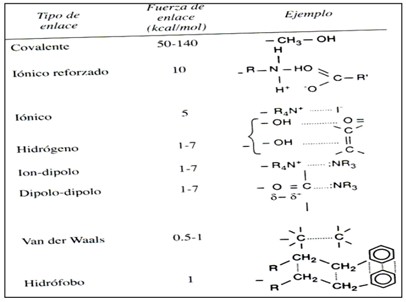 farmacodinamia_farmacologia/tipo_de_enlace