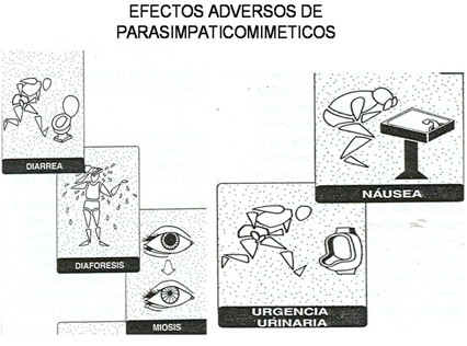 farmacos_agonistas_colinergicos/efectos_adversos_parasimpaticomimeticos