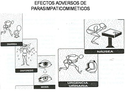 farmacos_agonistas_colinergicos/efectos_adversos_parasimpaticomimeticos farmacos_agonistas_colinergicos/efectos_adversos_parasimpaticomimeticos