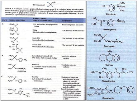 farmacos_agonistas_colinergicos/grupo_formula_estructural