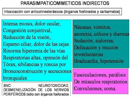 farmacos_agonistas_colinergicos/intoxicacion_con_anticolinesterasicos