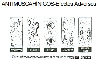 farmacos_antagonistas_muscarinicos/antimuscarinicos_efectos_adversos