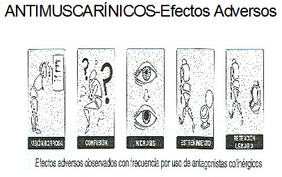 farmacos_antagonistas_muscarinicos/antimuscarinicos_efectos_adversos farmacos_antagonistas_muscarinicos/antimuscarinicos_efectos_adversos
