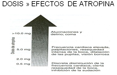 farmacos_antagonistas_muscarinicos/dosis_efectos_antropina