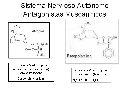 farmacos_antagonistas_muscarinicos/sistema_nervioso_antagonistas