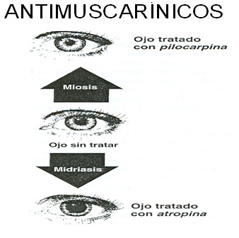 farmacos_antagonistas_muscarinicos/tratamiento_intoxicacion_atropinicos