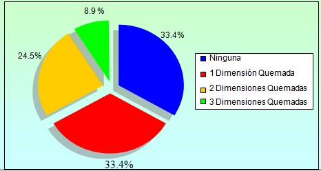 sindrome_burnout_enfermeria/dimensiones_quemadas