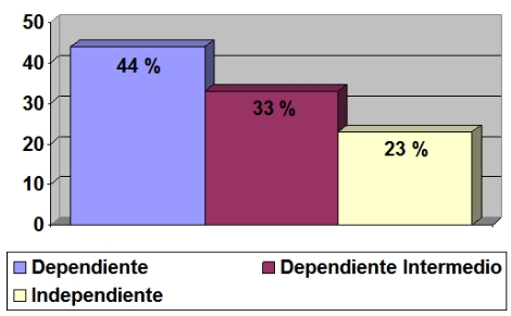 cuidador_familiar_anciano/dependiente_independiente