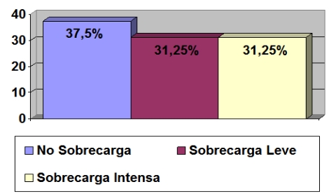 cuidador_familiar_anciano/sobrecarga