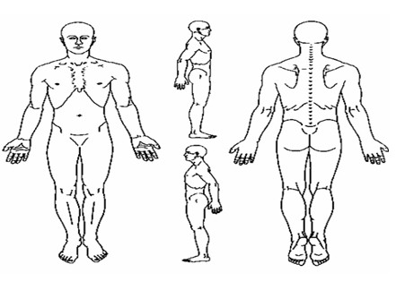 eficacia_electrocinesis_carvicalgia/donde_tiene_dolor