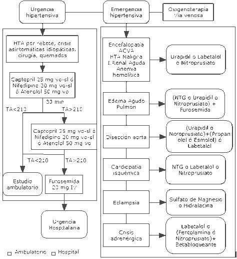 factores_crisis_hipertensivas/algoritmo_hipertension_manejo factores_crisis_hipertensivas/algoritmo_hipertension_manejo