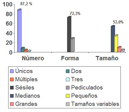 histologia_polipo_gastrico/forma_numero_distribucion histologia_polipo_gastrico/forma_numero_distribucion