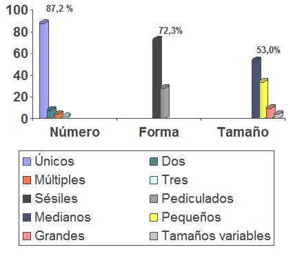 histologia_polipo_gastrico/forma_numero_distribucion