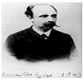 historia_sinapsis_neuronal/italiano_camillo_golgi