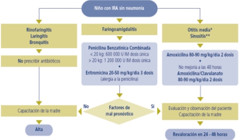 infecciones_respiratorias_pediatria/ira_sin_nemonia infecciones_respiratorias_pediatria/ira_sin_nemonia