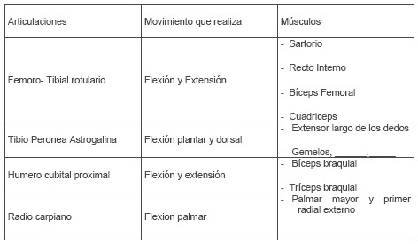 morfologia_fisiologia_voleibol/musculos_articulaciones_deporte morfologia_fisiologia_voleibol/musculos_articulaciones_deporte
