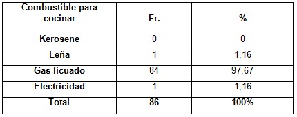 infecciones_respiratorias_agudas/combustible_para_cocinar