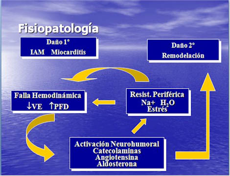 insuficiencia_cardiaca_corazon/fisiopatologia_insuficiencia_cardiaca