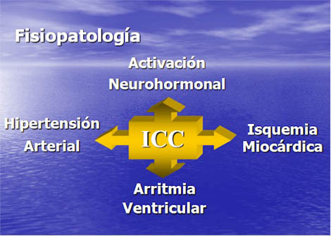 insuficiencia_cardiaca_corazon/fisiopatologia_insuficiencia_cardiaca2 insuficiencia_cardiaca_corazon/fisiopatologia_insuficiencia_cardiaca2