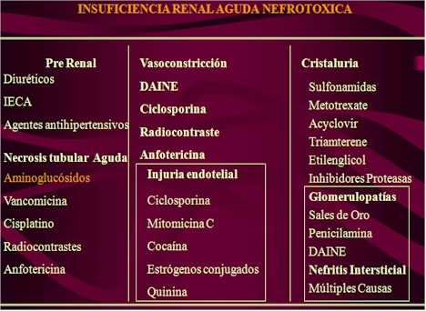 utilidad_biopsia_renal/insuficiencia_renal_nefrotoxica