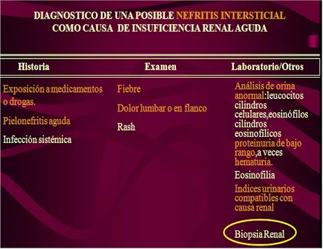 utilidad_biopsia_renal/posible_nefritis_intersticial