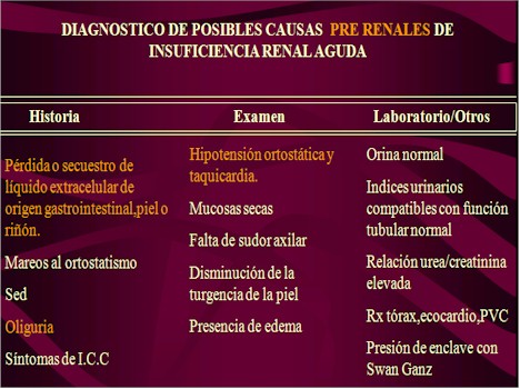 utilidad_biopsia_renal/posibles_causas_prerenales