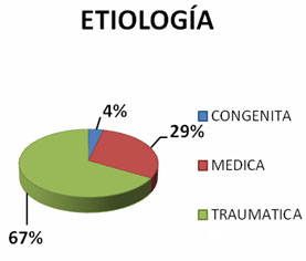 discapacidad_lesionados_medulares/etiologia_congenita_medica