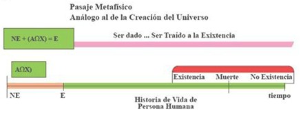 bioetica_personalista_discapacidad/QALYs_metafisica_QALY bioetica_personalista_discapacidad/QALYs_metafisica_QALY