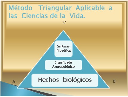 bioetica_personalista_discapacidad/metodo_triangular_QALY