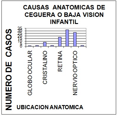 causas_ceguera_infantil/causas_anatomicas_ceguera causas_ceguera_infantil/causas_anatomicas_ceguera