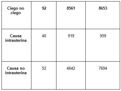 causas_ceguera_infantil/ceguera_causa_intrauterina