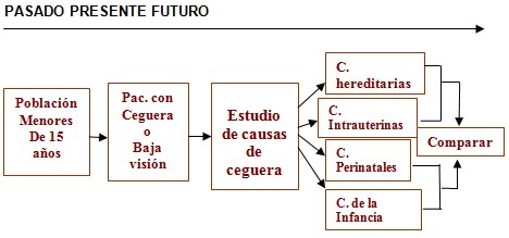 causas_ceguera_infantil/pasado_presente_futuro