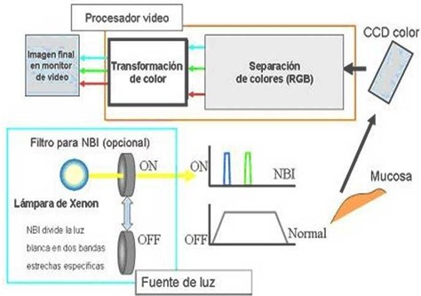 cromoendoscopia_colon_lesiones/NBI_narrow_band_imaging cromoendoscopia_colon_lesiones/NBI_narrow_band_imaging