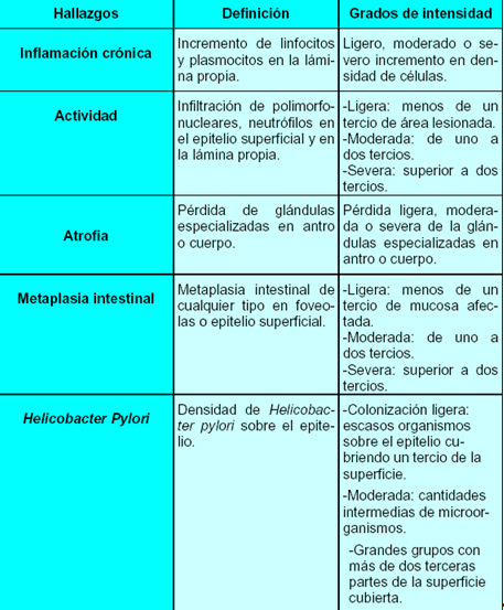 histologia_Helicobacter_pylori/Definiciones_grados_intensidad