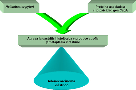 histologia_Helicobacter_pylori/Pylori_gen_CagA
