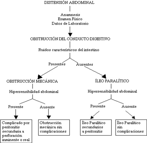 oclusion_obstruccion_intestinal/Flujograma_sospecha_obstruccion