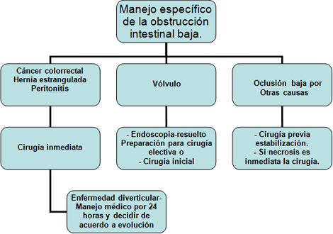 oclusion_obstruccion_intestinal/Manejo_obstruccion_baja
