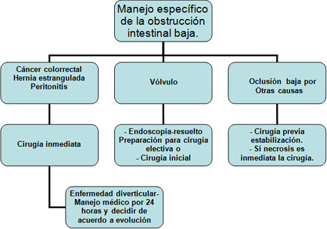 oclusion_obstruccion_intestinal/Manejo_obstruccion_baja oclusion_obstruccion_intestinal/Manejo_obstruccion_baja
