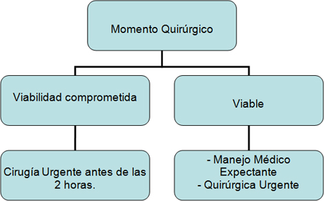 oclusion_obstruccion_intestinal/Momento_quirurgico