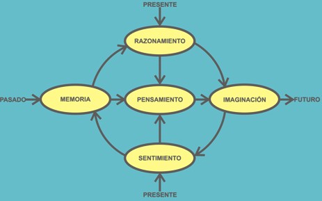 inteligencia_medica_artificial/esquema_inteligencia_humana