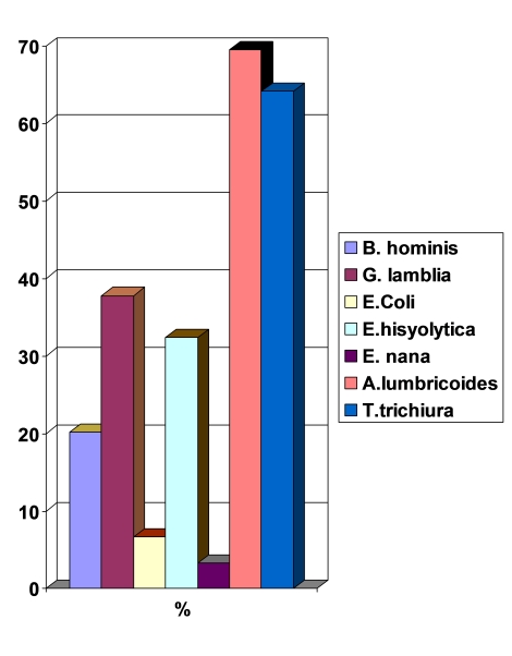 parasitosis_intestinal_preescolares/grafico_examen_heces