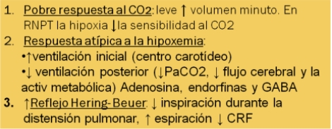 pausas_de_apnea/centro_respiratorio