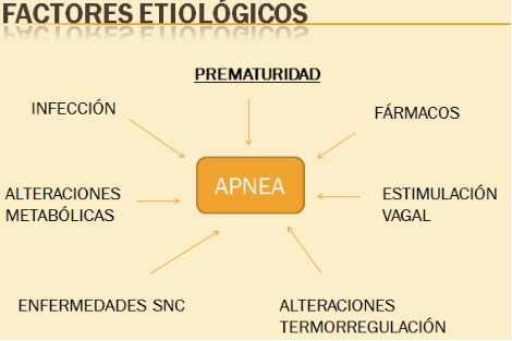 pausas_de_apnea/factores_etiologicos