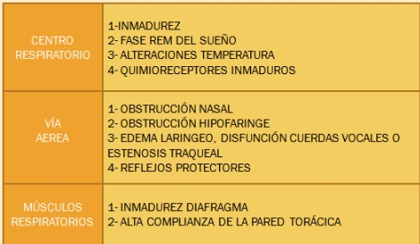 pausas_de_apnea/fisiopatologia