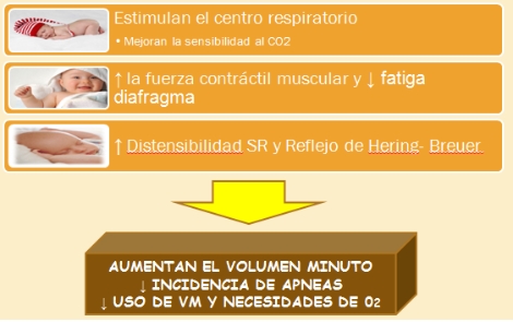 pausas_de_apnea/metilxantinas