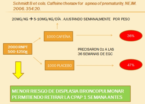 pausas_de_apnea/terapia_cafeina