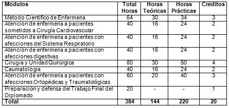 curso_enfermeria_quirurgica/estructura_modulos_diplomado