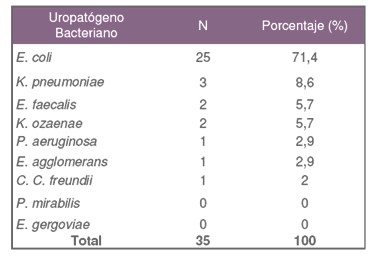 uropatogenos_resistentes_quinolonas/frecuencia_infecciones_orina
