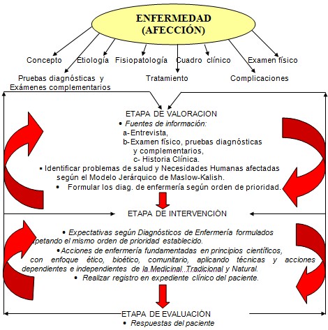 enfermeria_adulto_mayor/enfermedad_afeccion_evaluacion enfermeria_adulto_mayor/enfermedad_afeccion_evaluacion