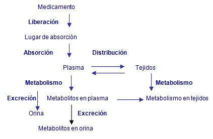 prescripcion_enfermeria_urgencias/farmacodinamica_medicamento_prescrit